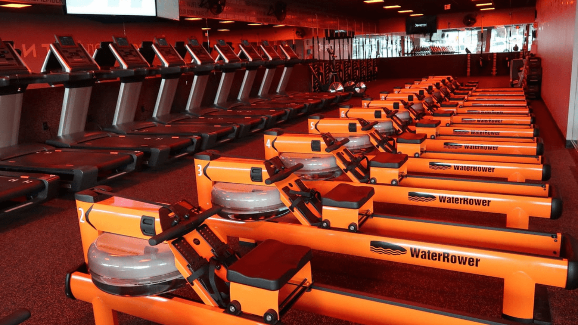 Does Orangetheory Fitness work for weight loss and muscle toning